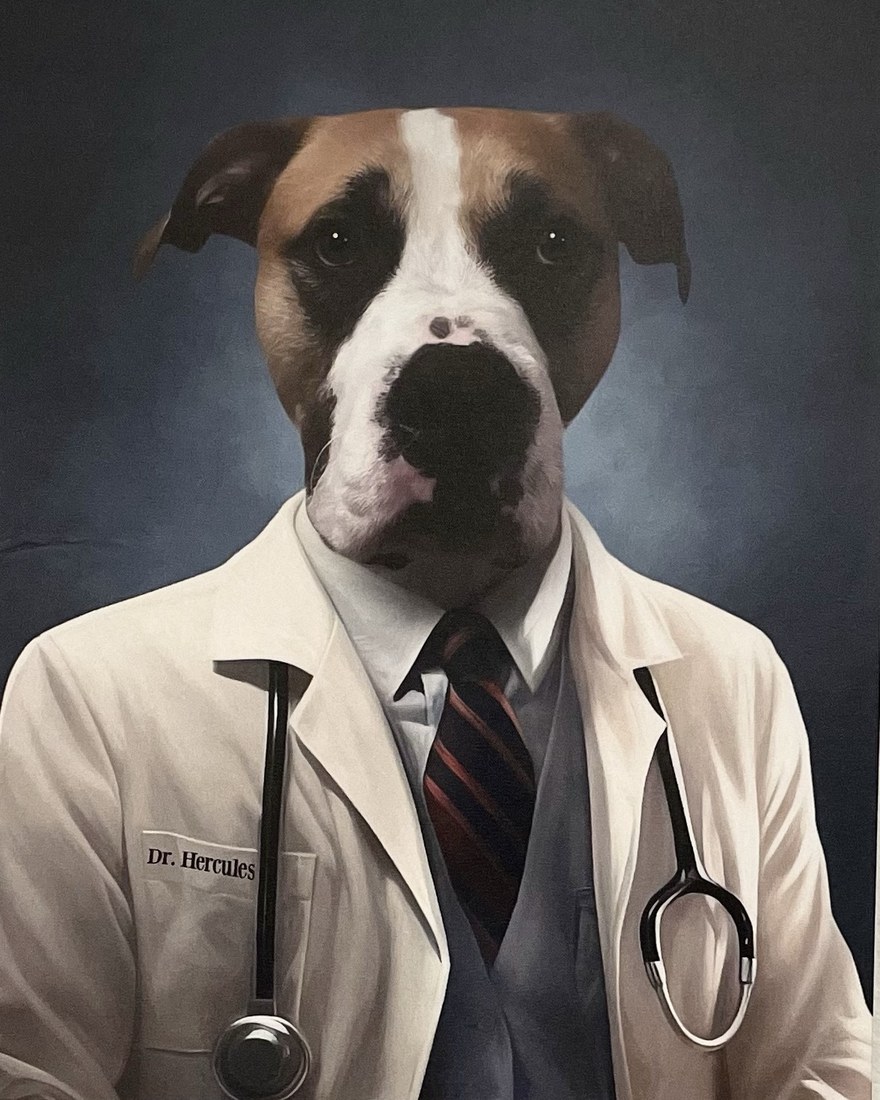 Painted portrait of Dr. Hercules, the Alpha Care clinic dog, in a white coat